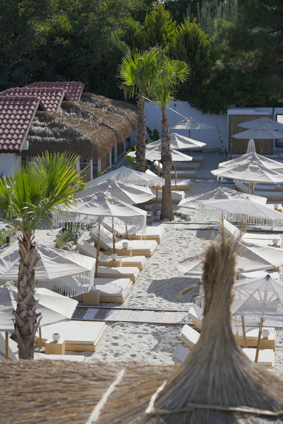Glenn Hotel & Beach 10